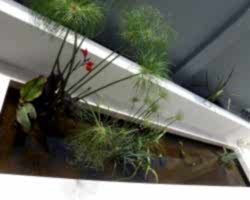 Water-Feature-9